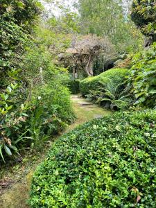 a path through a garden with green bushes at Mountain Villa in Dandenong Ranges in Mount Dandenong