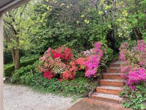 un jardín con flores rosas y un conjunto de escaleras en Mountain Villa in Dandenong Ranges en Mount Dandenong