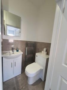 a bathroom with a white toilet and a sink at Glamorous Studio for 2 people - Maidstone Town Centre - f2 BridgeCity in Kent