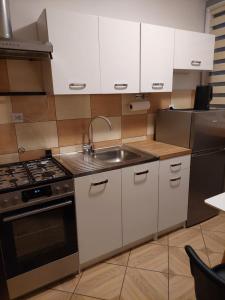 Kuchyňa alebo kuchynka v ubytovaní Apartament 59 , ranczoturystyka Bielawa Sudety