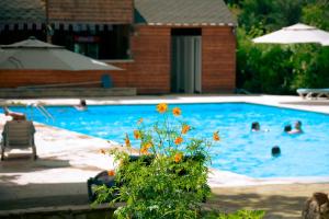 Piscina di Wald Hotel Lagodekhi o nelle vicinanze