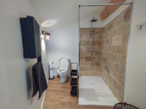 a bathroom with a toilet and a walk in shower at LA VIGNE in Saulieu +16 photos
