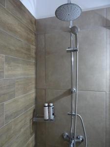 a shower with a shower head in a bathroom at Aspasia House in Oitylo +77 photos