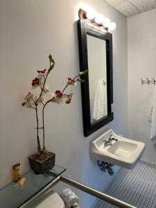Casa Condado Hotel في سان خوان: حمام مع حوض وزرع الفخار