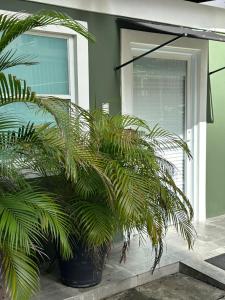 Casa Condado Hotel في سان خوان: يوجد خزاف نباتي يجلس أمام المنزل