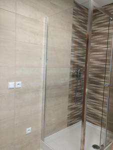 La salle de bains est pourvue d'une douche avec une porte en verre. dans l'établissement Chalupa Mária, à Terchová