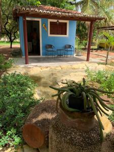 a blue house with a potted plant in front of it at Chalé com 5 suítes em Maxaranguape in Maxaranguape