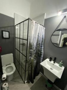 a bathroom with a sink and a toilet and a mirror at Green Vibes Central Brasov in Braşov