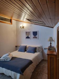 阿里納斯聖佩德羅的住宿－Casa Hermi，一间卧室配有一张带蓝色枕头的大床