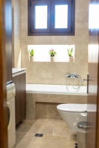 a bathroom with a toilet and a sink and two windows at Roula's Cosy Home in Tríkala