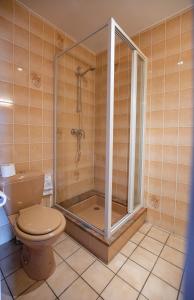 a bathroom with a shower and a toilet at Contact Hotel Du Ladhof in Colmar