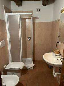ein Bad mit einer Dusche, einem WC und einem Waschbecken in der Unterkunft Casa Vacanze Oberje dla Viere in Oulx