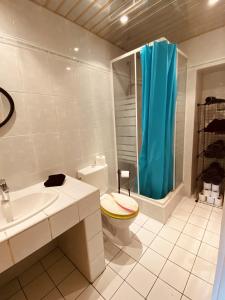 e bagno con servizi igienici, lavandino e doccia. di LA MARIEFACTURE - Comme en forêt a Saint-Avold