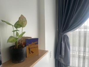 une plante et une boîte sur une étagère à côté d'une fenêtre dans l'établissement Thanh An Homestay&Guesthouse, à Hue