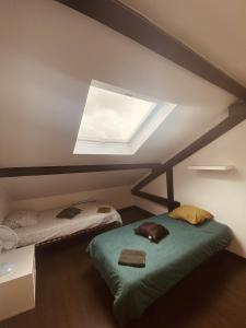 Zimmer im Dachgeschoss mit 2 Betten und einem Dachfenster in der Unterkunft LA MARIEFACTURE - Comme une Gourmandise ! 