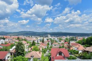 Stadtbild einer Stadt mit Häusern und Dächern in der Unterkunft Hotel Panoramic in Râmnicu Vâlcea