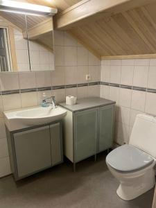 a bathroom with a toilet and a sink at Penthouse close to Vasaloppet finish line portal in Mora