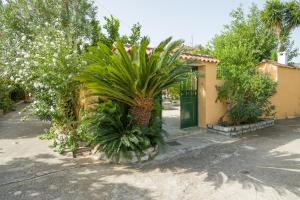 Zahrada ubytování VILLA - APA