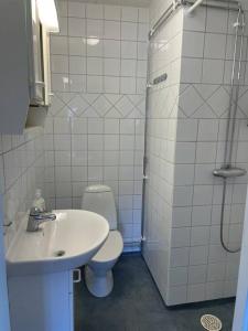 a bathroom with a toilet and a sink and a shower at Skomakaren, near Vasalopp finish line portal in Mora in Mora