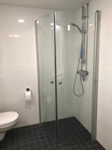 a bathroom with a shower and a toilet at Modern Studio, free parking & wifi, Aino Areena 300m in Järvenpää