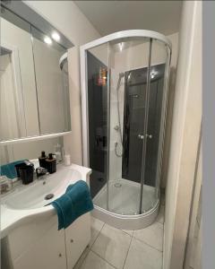 a bathroom with a shower and a sink at Appartement avec Parking Gratuit et Wifi in Vierzon +62 photos