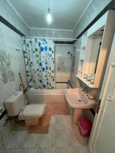 カイロにあるamazing Nile view fully furnished apartmentのトイレ、洗面台、シャワー付きのバスルーム