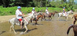 a group of people riding horses in the water at HOTEL QUEPOS PARAISO i in Quepos