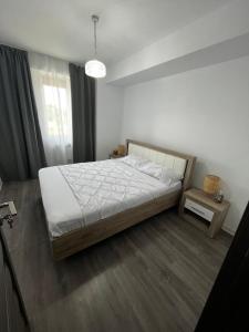 a bedroom with a large bed and a window at Patrick apartament in Techirghiol