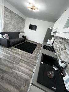 a kitchen and living room with a couch and a stove at Patrick apartament in Techirghiol