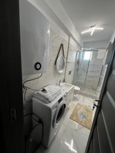 a bathroom with a washing machine and a shower at Patrick apartament in Techirghiol