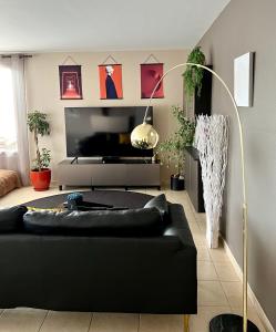 uma sala de estar com um sofá preto e um candeeiro de chão em Appartement climatisé T3 chic à Strasbourg avec billard et terrasse em Estrasburgo