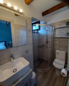 La salle de bains est pourvue d'une douche, d'un lavabo et de toilettes. dans l'établissement Panthea Residence, à Theológos