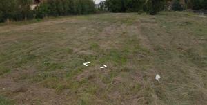 a field with some white papers in the grass at Namiot near WrocLOVE only place to TENT in Kiełczów