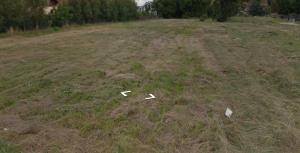 Fotografie z fotogalerie ubytování Miejsce pod namiot near WrocLOVE only place to TENT v destinaci Kiełczów