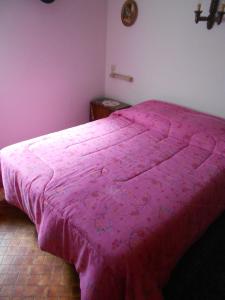 a pink bed in a bedroom with a pink blanket at LES VIGNERONS in Niedermorschwihr