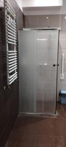 クラクフにあるHostel ALEX&TSAのバスルーム(ガラスドア付きのシャワー付)