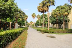 a walking path in a park with palm trees at Dreams Hostel in Dubai