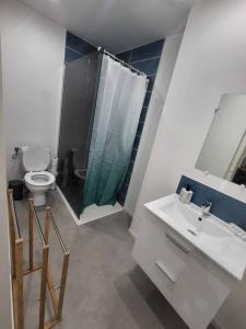 ein Bad mit einem WC, einem Waschbecken und einer Dusche in der Unterkunft Appartement place du Canada in Valenciennes