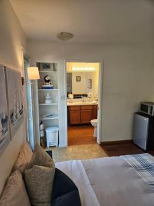 Una sala de estar con una cama y una cocina. en Pebbly Beach Suite in Snug Cove, en Isla de Bowen