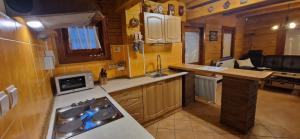 Il comprend une petite cuisine équipée d'une cuisinière et d'un évier. dans l'établissement Drevenica u Vlada, à Hrabušice