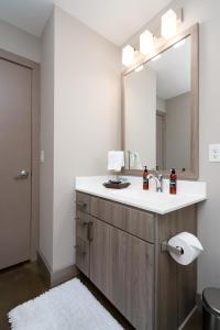 a bathroom with a sink and a mirror at Minnestay Sable 35 - One Bedroom in Minneapolis