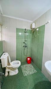 ein grünes Bad mit einem WC und einer Dusche in der Unterkunft Goa Suites Holiday Home in Calangute