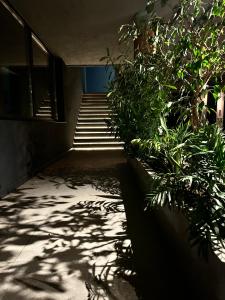 einen Flur mit Treppen und Pflanzen in einem Gebäude in der Unterkunft Hotel Doina in Mamaia