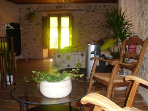 ein Wohnzimmer mit einem Tisch und einer Pflanze darauf in der Unterkunft Casa Rural con Jacuzzi Taberna del Tio Pedro in Cabañas de Polendos
