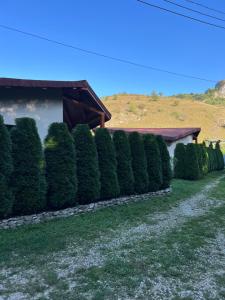 Fotografie z fotogalerie ubytování Studiouri Valisoara v destinaci Vălişoara