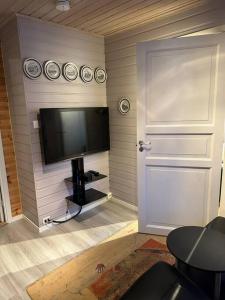 TV a/nebo společenská místnost v ubytování Very centrally located apartment with free parking