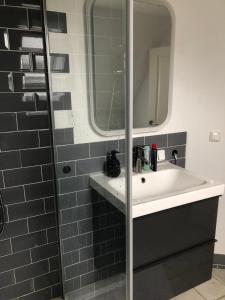 a bathroom with a sink and a mirror at 3FLOORS in Rankwitz
