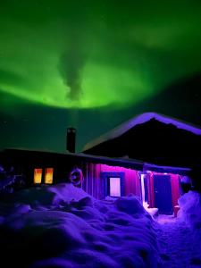 a house with the aurora in the sky at Camp Caroli Hobbit Hut in Jukkasjärvi