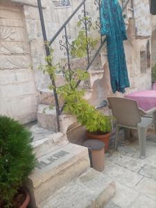 eine Terrasse mit einem Tisch und einem Stuhl sowie einigen Pflanzen in der Unterkunft Alkan konuk evi in Şanlıurfa
