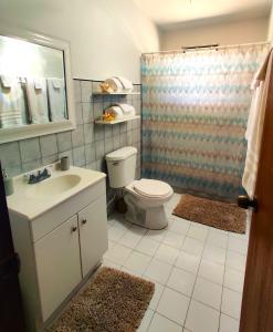 a bathroom with a toilet and a sink and a shower at Casa Mia Guest House in Rincon